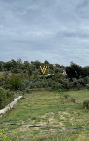 TRUALL 16.000 M2 PRANE TEG 3.200.000 EURO