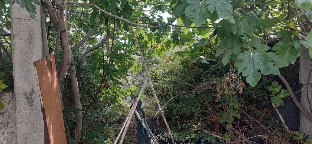 🏡 Okazion! Tokë Truall 500 m² në Shitje – Fier