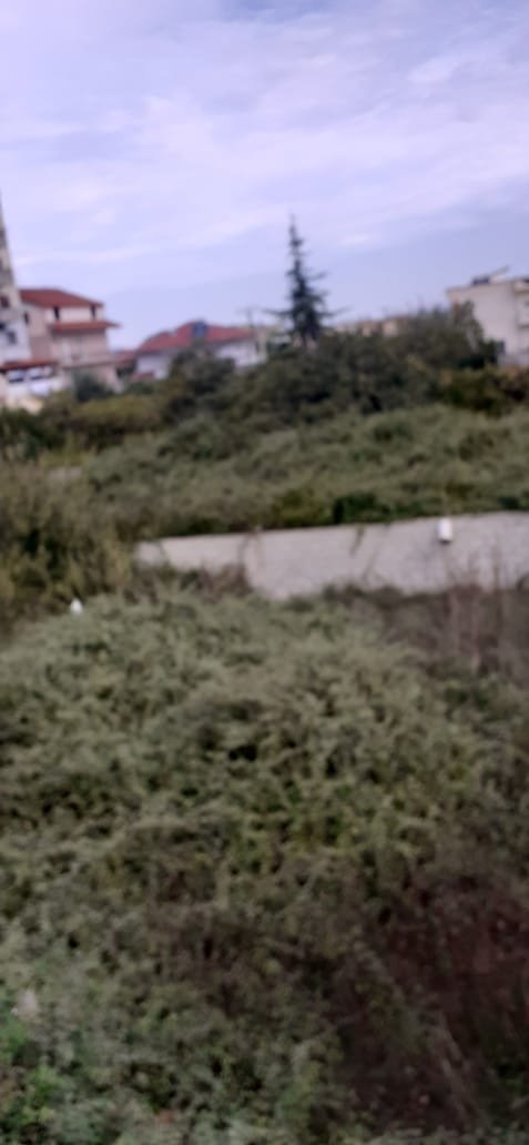 🏡 Okazion! Tokë Truall 500 m² në Shitje – Fier