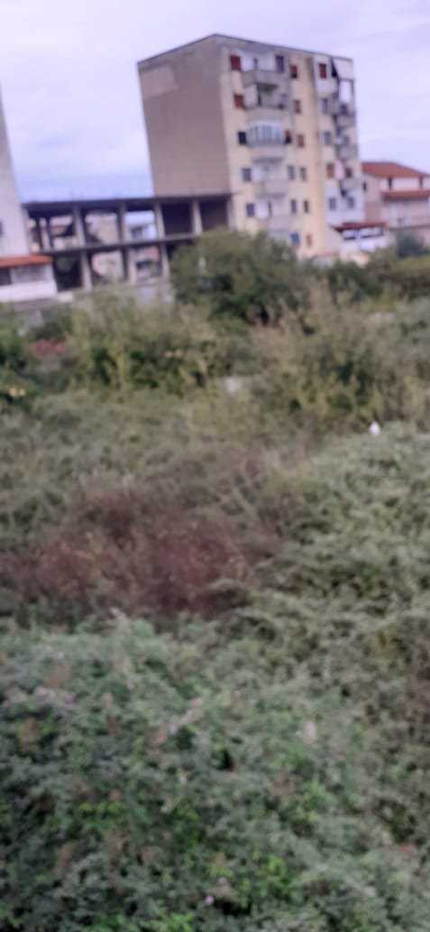 🏡 Okazion! Tokë Truall 500 m² në Shitje – Fier