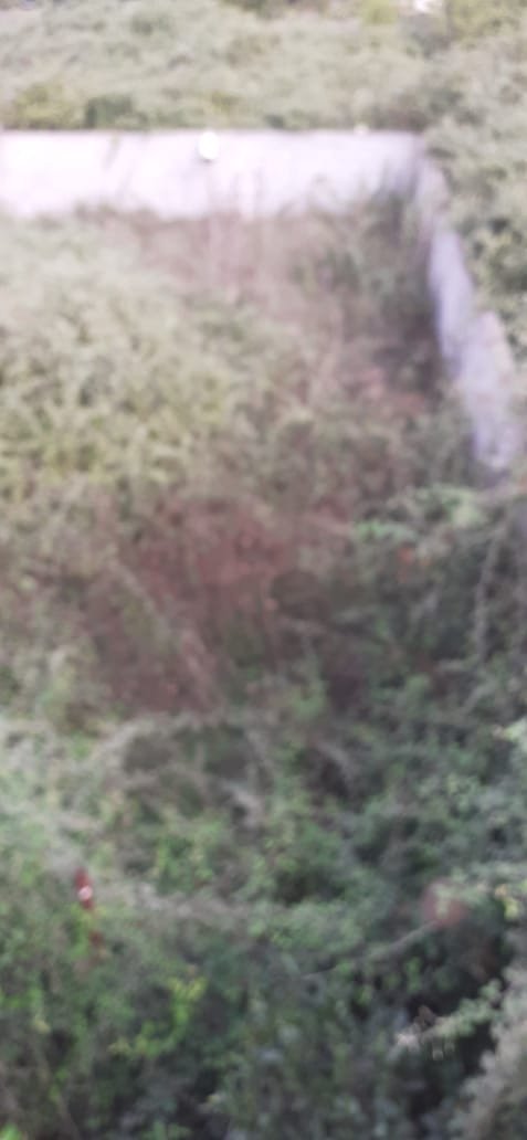 🏡 Okazion! Tokë Truall 500 m² në Shitje – Fier