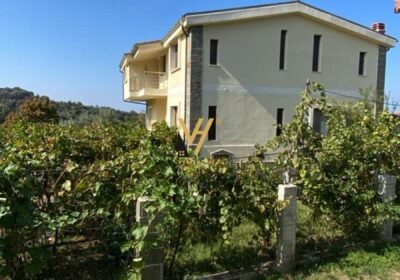 eba53dff-acb8-428c-bd76-b4723e1b7260