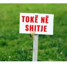 0ba28d13-bcd0-4323-8909-57bdb9d06da9