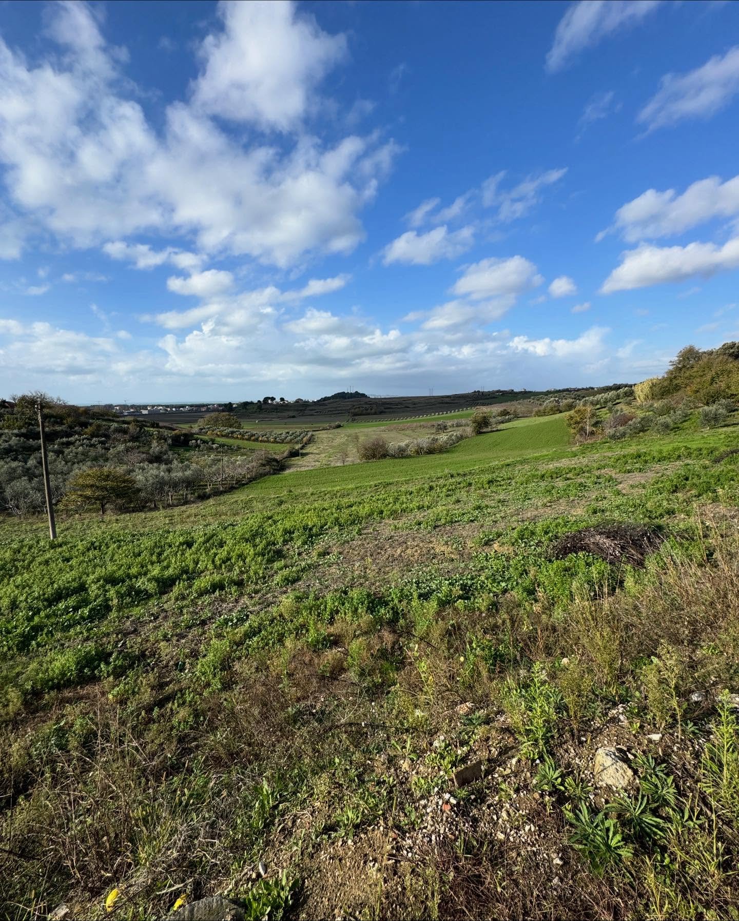 💥 Shitet toke ne koder me pamje deti,Agonas,Golem