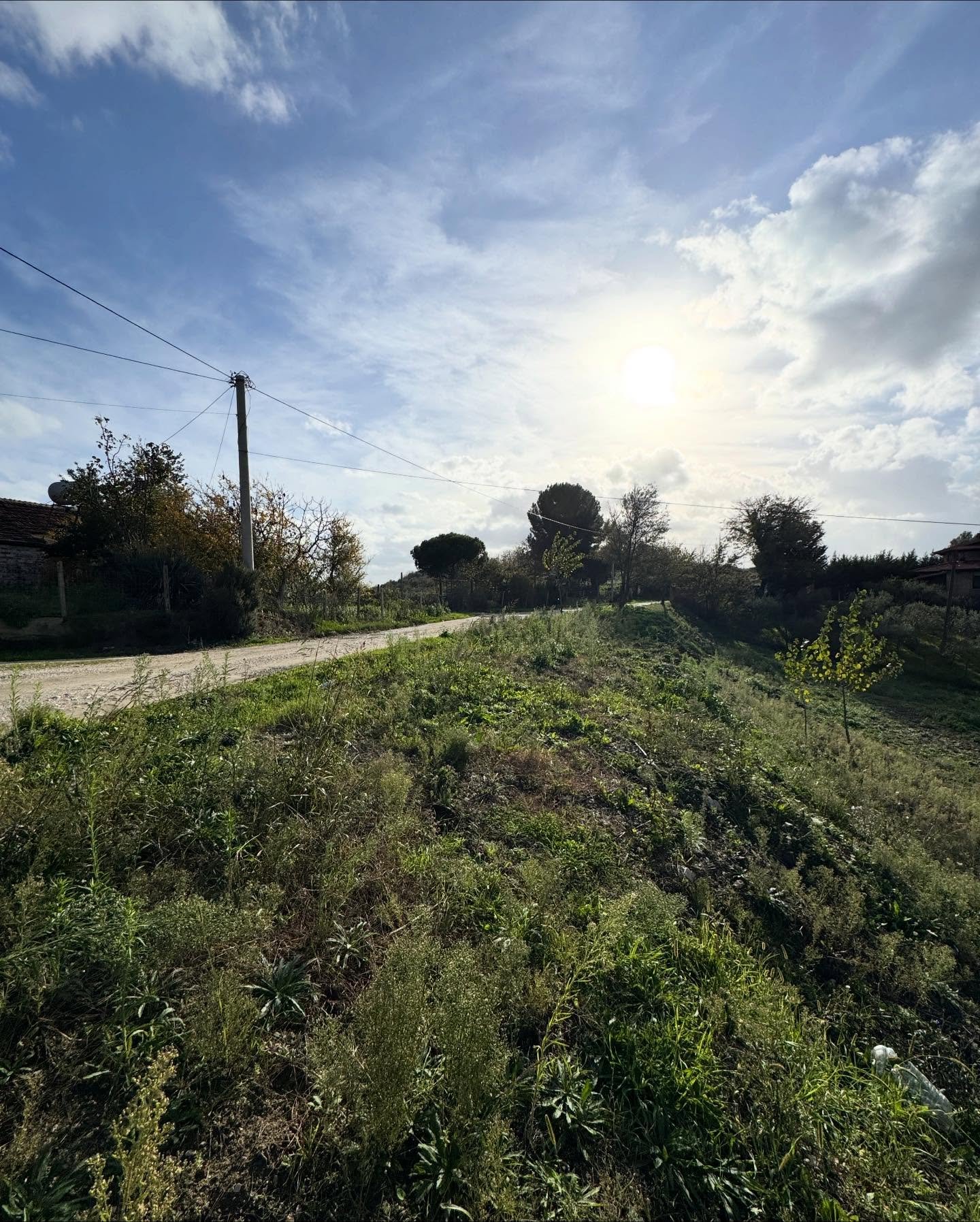 💥 Shitet toke ne koder me pamje deti,Agonas,Golem