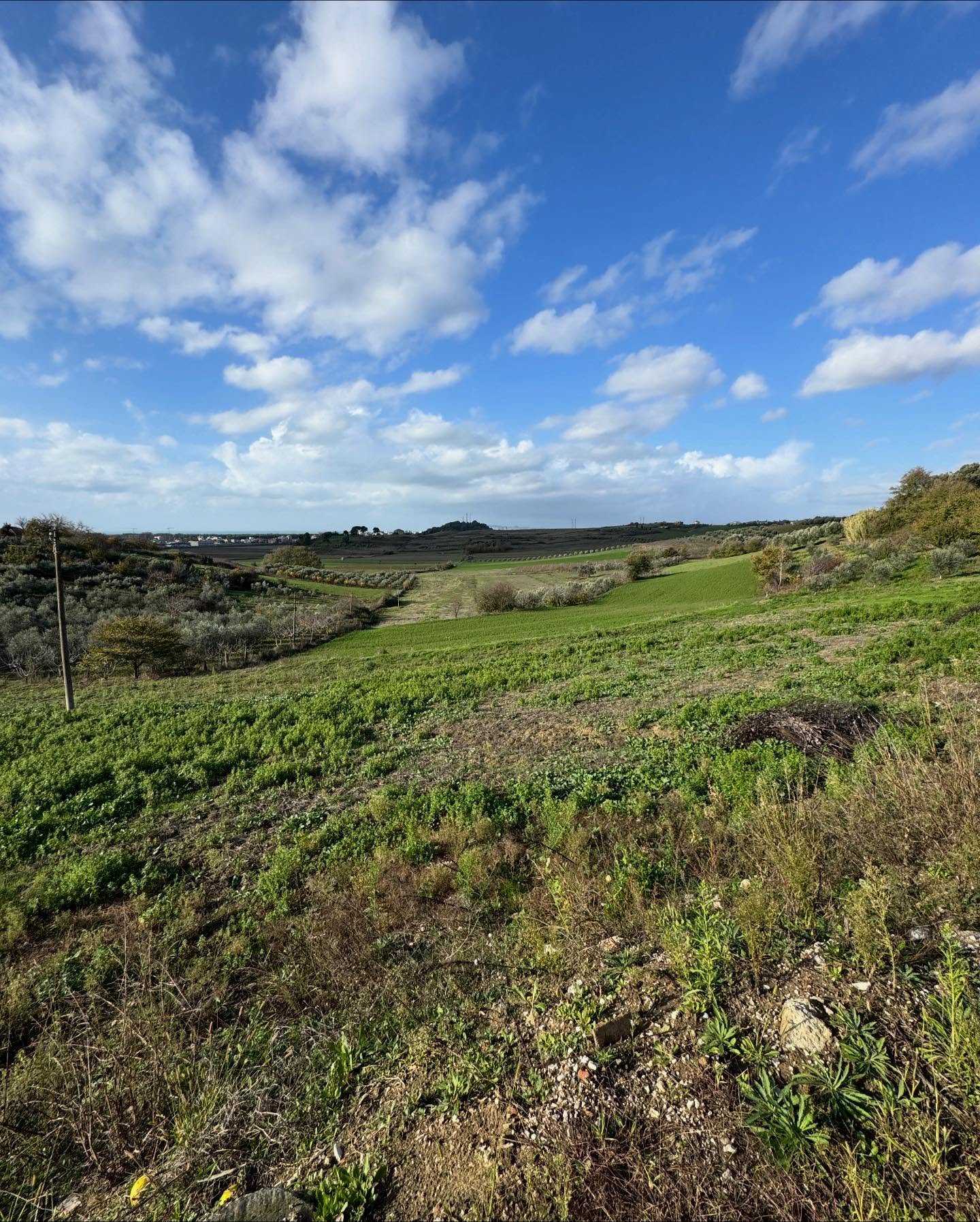 💥 Shitet toke ne koder me pamje deti,Agonas,Golem