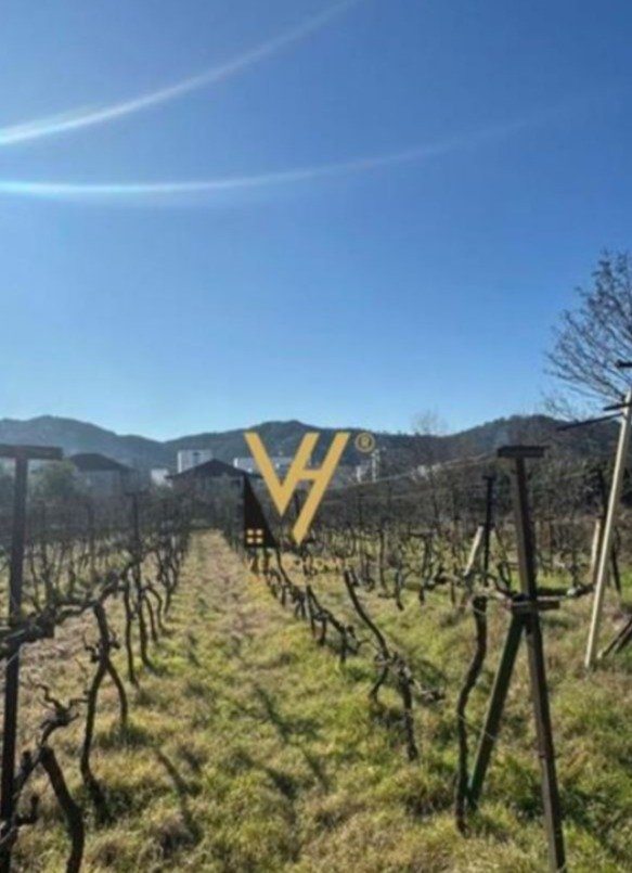 TOKE DHE SHTEPI PRIVATE NE VORE 550.000 EURO