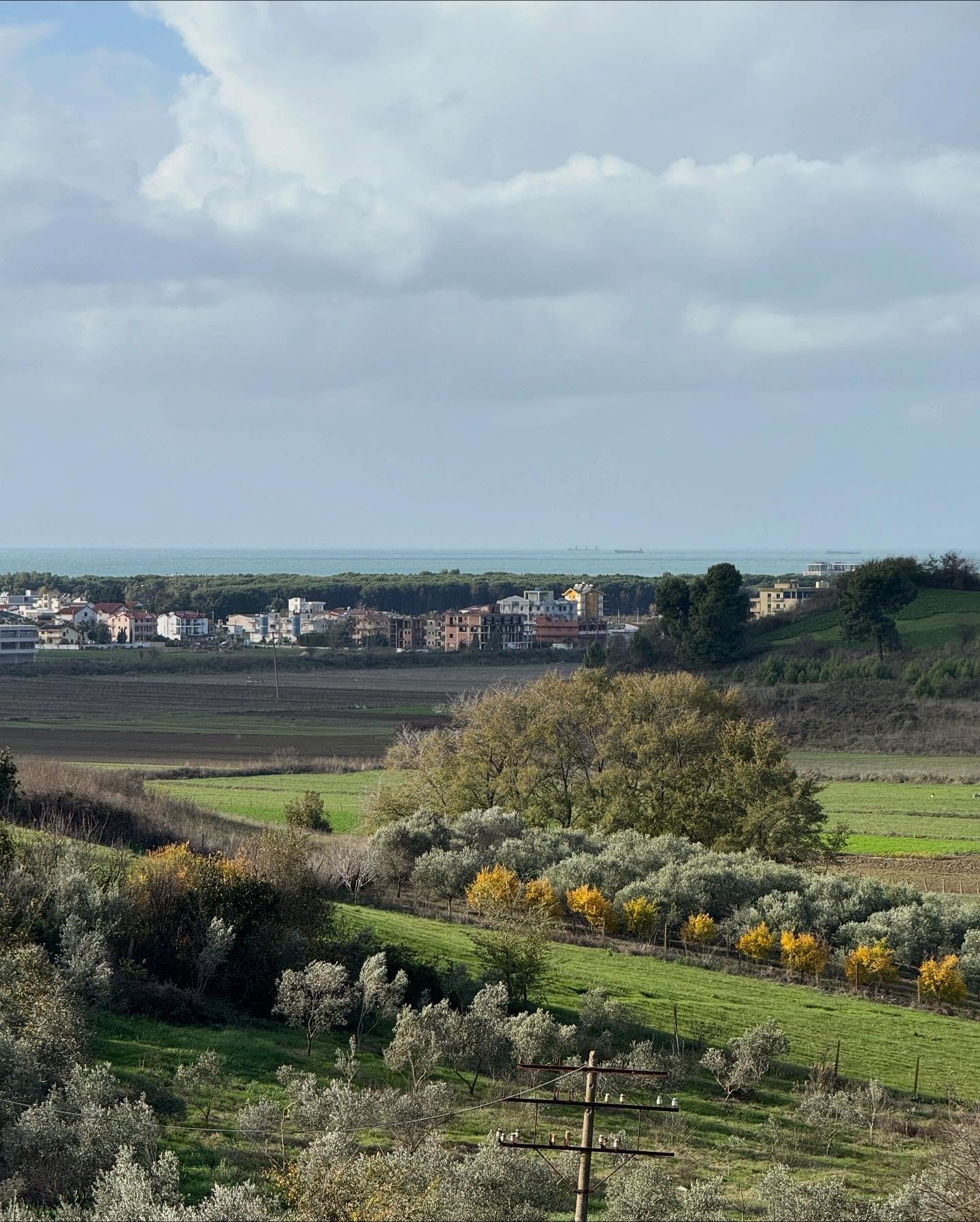 💥 Shitet toke ne koder me pamje deti,Agonas,Golem