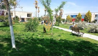 8f209056-3c3d-471b-ae44-a71533ce3637