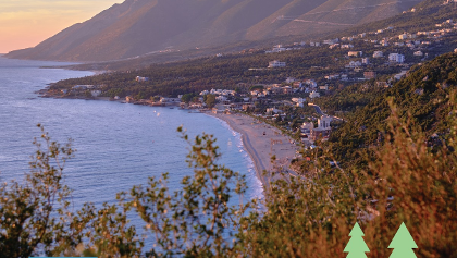 Tokë në Shitje Livadh | 2,100 m² Ullishte