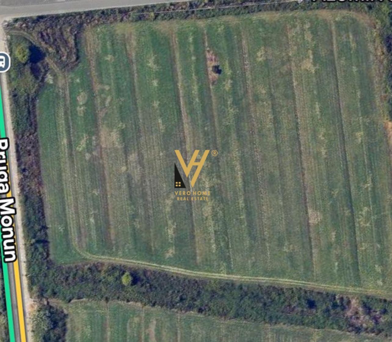 TOKE 47.000 M2 NE DOMJE, VORE 10.340.000 EURO
