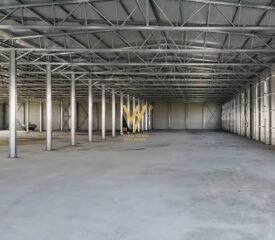 615414395_1224612709767679_1491001147253769750_n