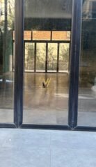 623784134_1238708795024737_416544045997857718_n