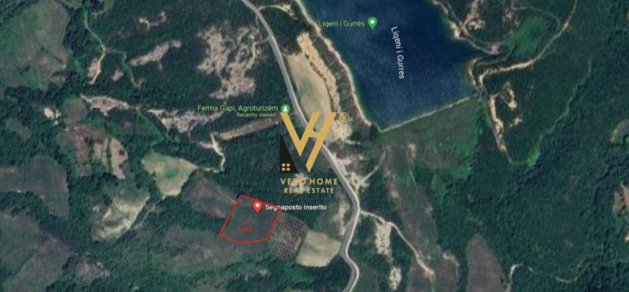 TOKE 5.500 M2 NE GURRE TE VOGEL 275.000 EURO