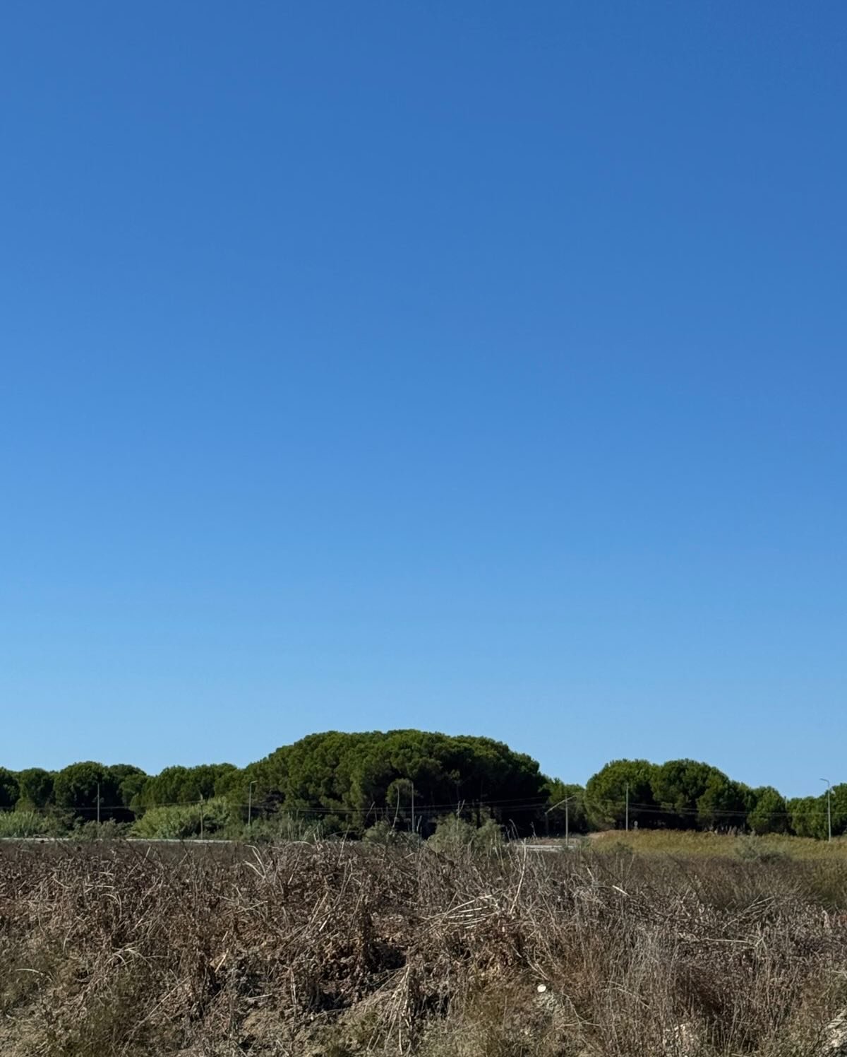 💥 OKAZION , Shitet toke ne brezin e dyte,Spille