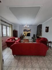 626802024_1241035251458758_7693799744952409517_n