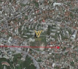 WhatsApp-Image-2026-02-06-at-13.28.41-1