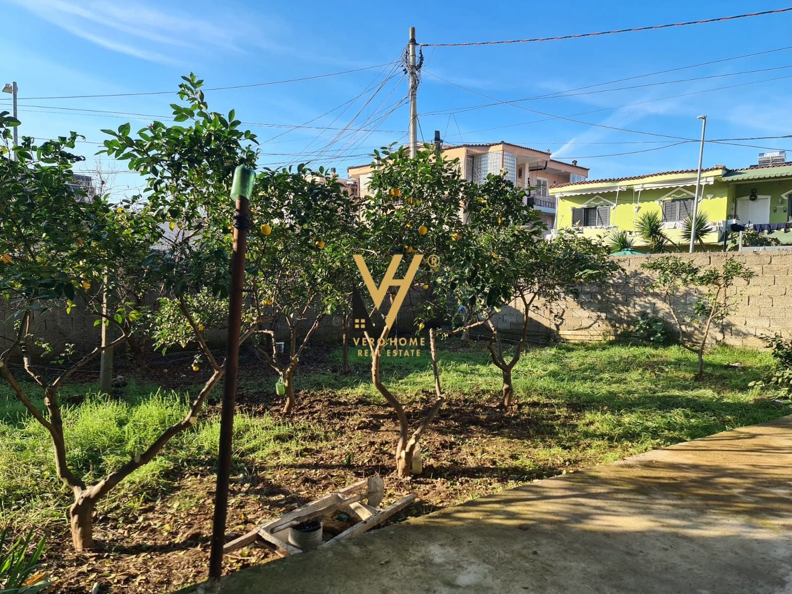 VILE 4 KATESHE TE SIRI KODRA 600.000 EURO