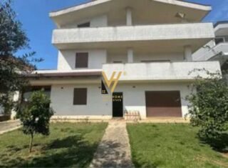 WhatsApp-Image-2026-02-07-at-10.43.34-1