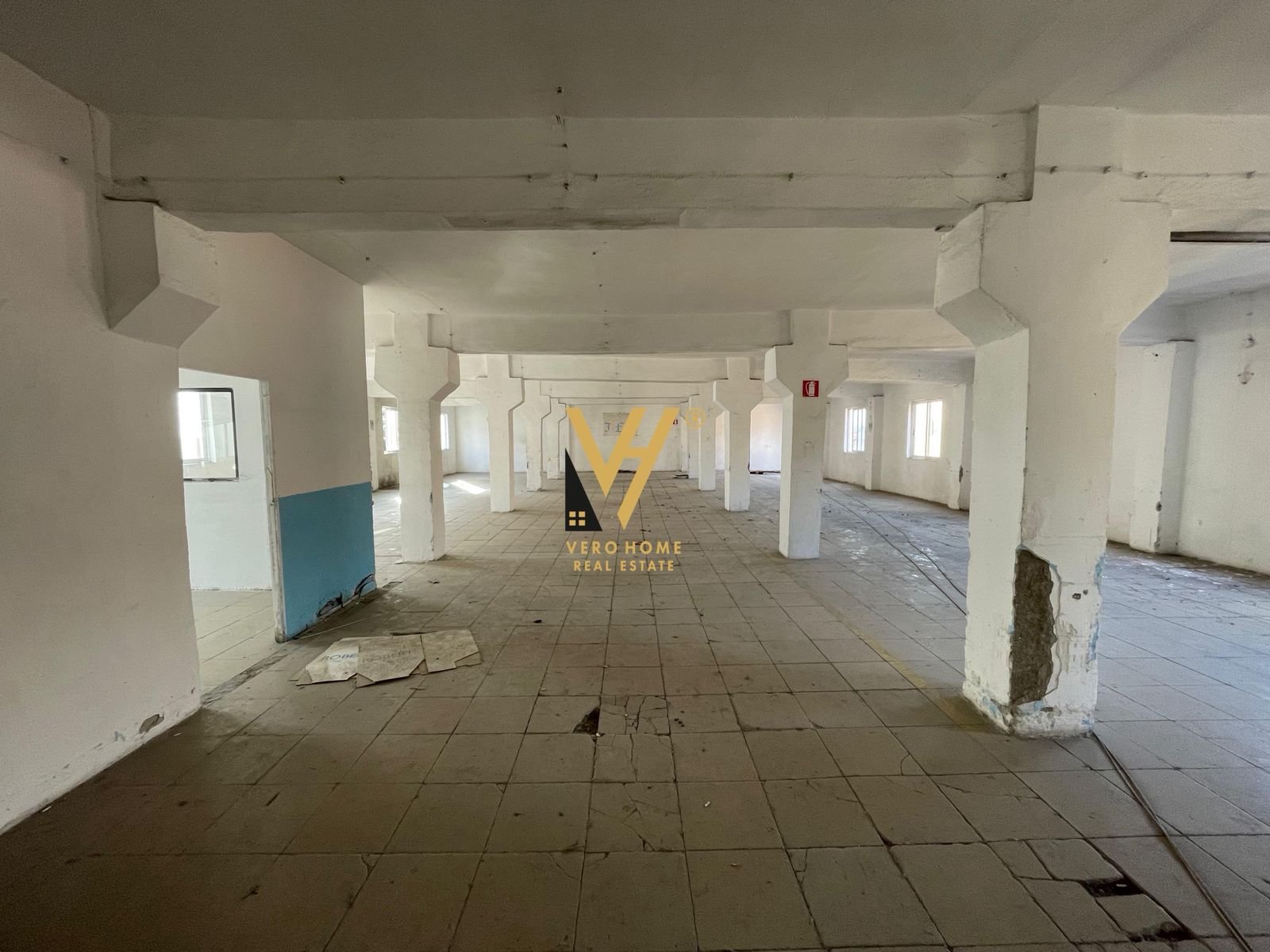 MAGAZINE 600 M2 ME QERA NE ALLIAS 1.300 EURO