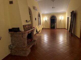 WhatsApp-Image-2026-02-20-at-13.04.11