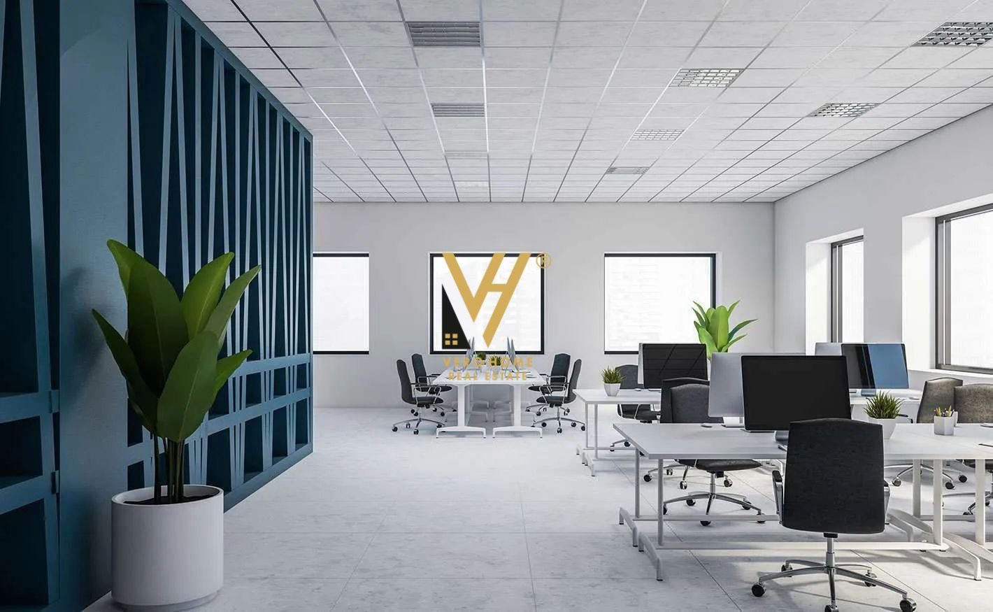 AMBIENT 350 M2 ME QIRA TE SHESHI WILLSON 4.200 EUR