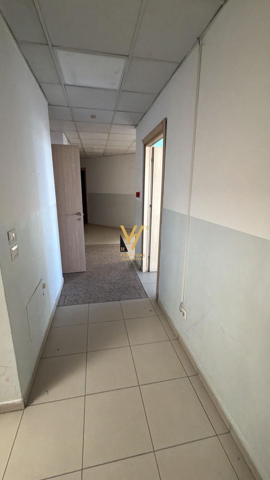 AMBIENT 200 M2 TE SHESHI WILLSON 3.000 EURO