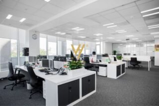 WhatsApp-Image-2026-02-26-at-12.02.44