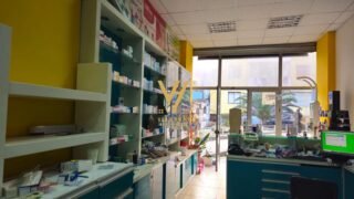 WhatsApp-Image-2026-03-04-at-15.51.39-1